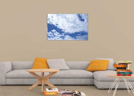 Tablou Canvas Nori Albi pe Cer