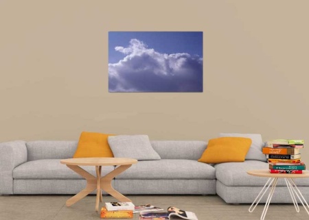Tablou Canvas Nori Albi pe Cer