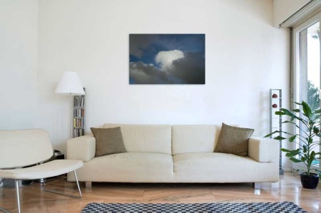 Tablou Canvas Nori Albi pe Cer