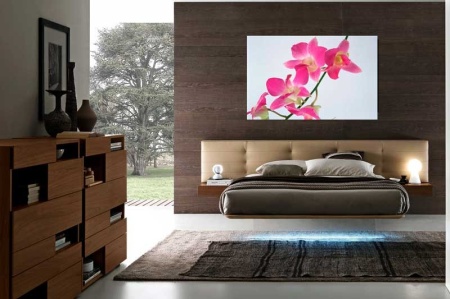 Tablou Canvas Orhidee