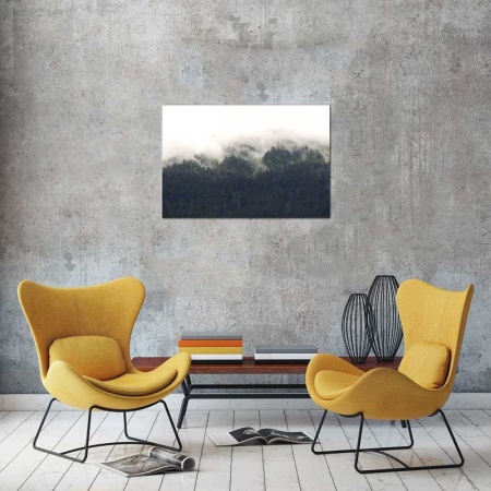 Tablou Canvas Padure de Brazi