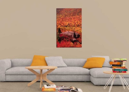 Tablou Canvas Padure Toamna