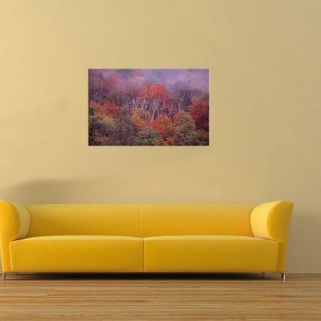 Tablou Canvas Padure Toamna