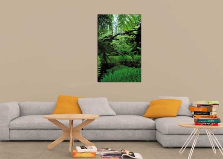 Tablou Canvas Padure