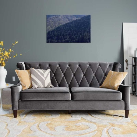 Tablou Canvas Padure