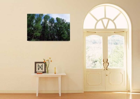 Tablou Canvas Padure