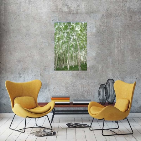Tablou Canvas Padure