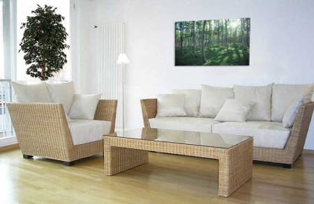 Tablou Canvas Padure