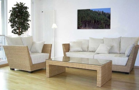 Tablou Canvas Padure