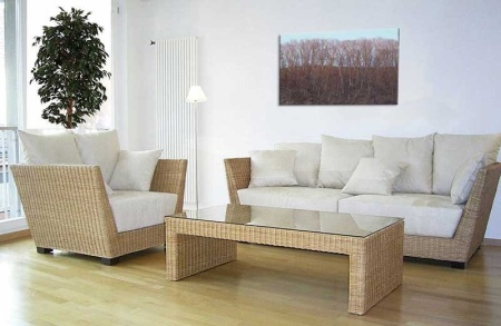 Tablou Canvas Padure