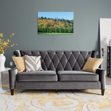 Tablou Canvas Padure