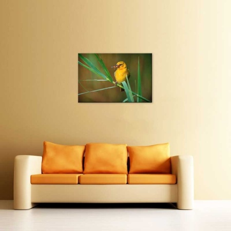 Tablou Canvas Pasare