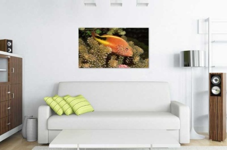 Tablou Canvas Peste