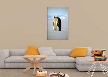 Tablou Canvas Pinguini