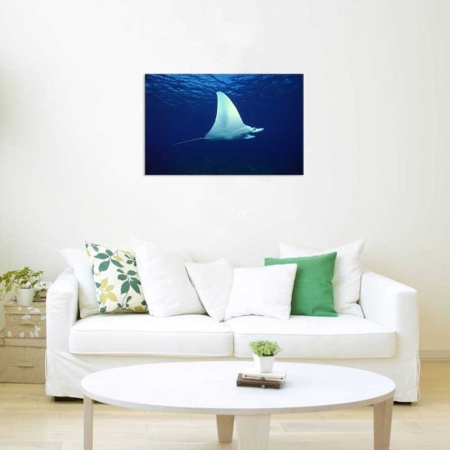Tablou Canvas Pisica de Mare