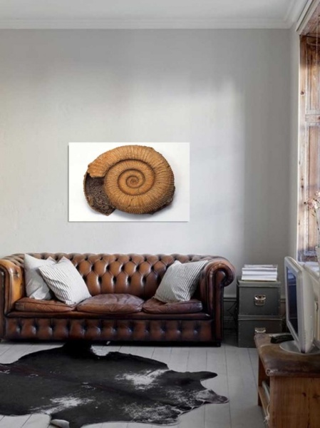 Tablou Canvas Scoica
