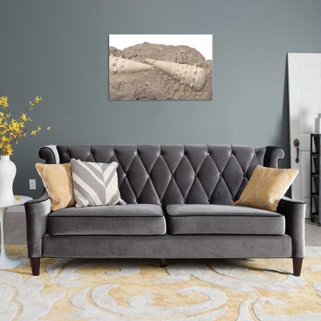 Tablou Canvas Scoica