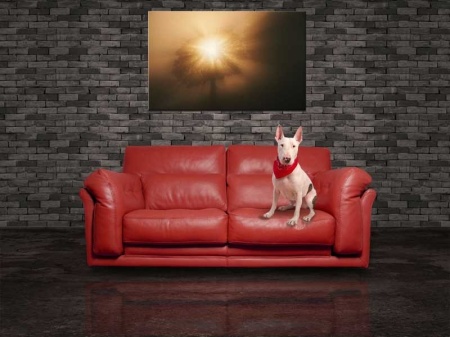 Tablou Canvas Soare