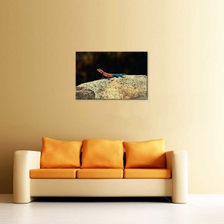 Tablou Canvas Soparla