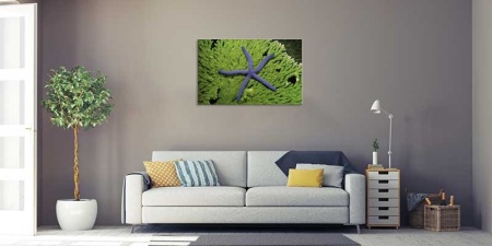 Tablou Canvas Subacvatic