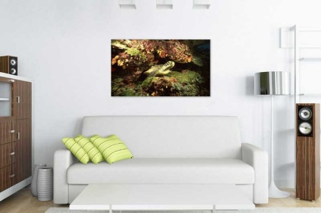 Tablou Canvas Subacvatic