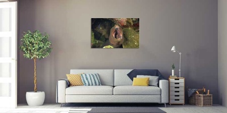 Tablou Canvas Subacvatic