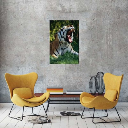 Tablou Canvas Tigru