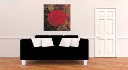 Tablou Canvas Trandafir Rosu