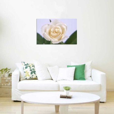 Tablou Canvas Trandafir