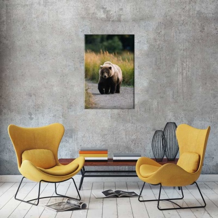Tablou Canvas Urs