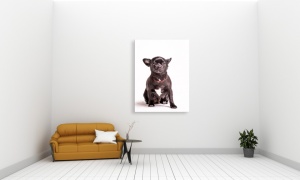 Tablou Canvas animale caine negru si mic - Img 3