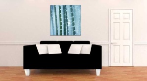 Tablou Canvas Bambus - Img 1
