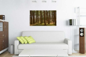 Tablou Canvas Bancute in Padure - Img 1