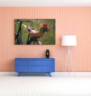 Tablou Canvas Bicicleta - Img 1