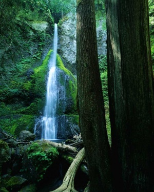 Tablou Canvas Cascada - Img 2