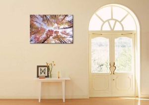 Tablou Canvas Copaci Colorati - Img 1