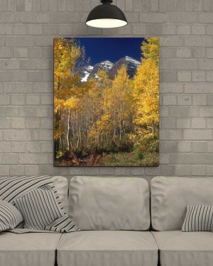 Tablou Canvas Copaci cu frunze galbene - Img 1