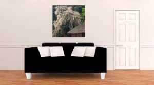 Tablou Canvas Copaci Infloriti - Img 1