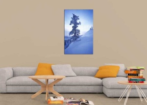 Tablou Canvas Copaci Inghetati - Img 1