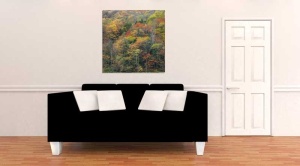 Tablou Canvas Copaci toamna - Img 1