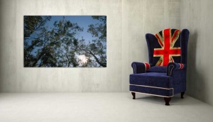 Tablou Canvas Copaci - Img 1