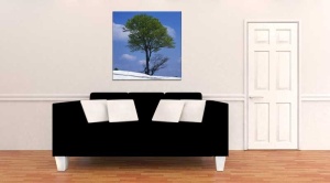 Tablou Canvas Copac - Img 1