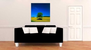 Tablou Canvas Copac - Img 1