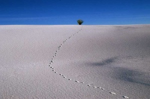 Tablou Canvas Desert - Img 2