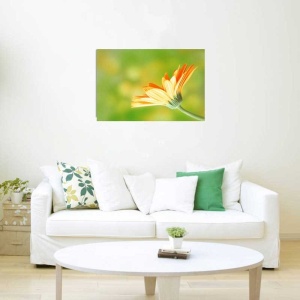 Tablou Canvas Floare - Img 1