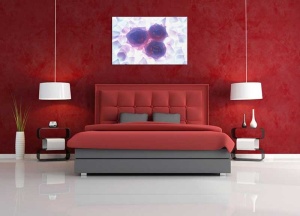 Tablou Canvas Floare - Img 1