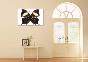 Tablou Canvas Fluturas - Img 1