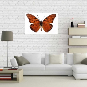 Tablou Canvas Fluturas - Img 1