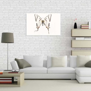 Tablou Canvas Fluturas - Img 1