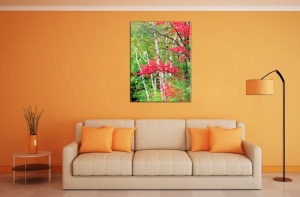 Tablou Canvas Frunze rosii - Img 1